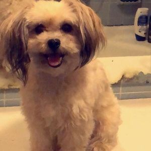 Meet your Posher, Virginia